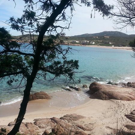 Fronte Mare Attico Indipendente Ed Esclusivo Con Terrazza Panoramica Leilighet Isola Rossa Eksteriør bilde